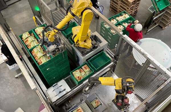 Fenaco_Kartoffelverpackung_bearbeitet