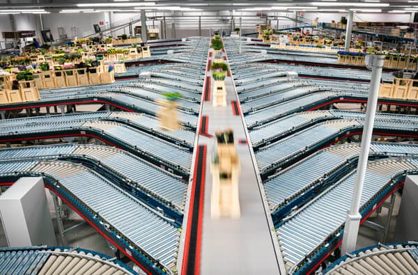 MHS-Material-Handling-Systems_Blumen_Hoek-Group_01_bearbeitet