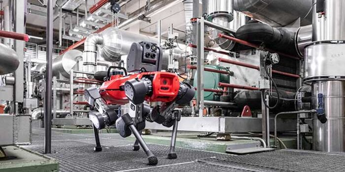 Anybotics gewinnt S-GE Export Award 2025