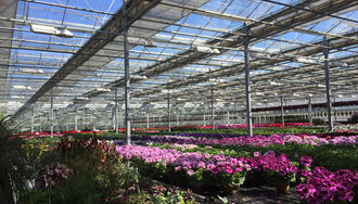 Gartencenter und Baumärkte bald wieder offen