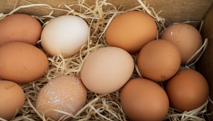 Lidls Eier werden nachhaltiger und regionaler